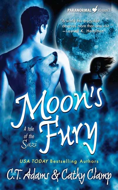 Moon's Fury book cover