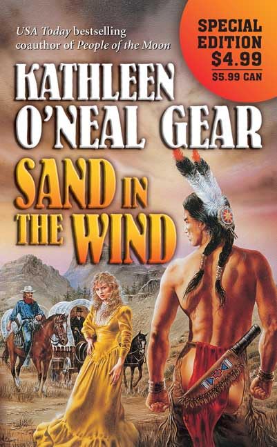Sand in the Wind book cover