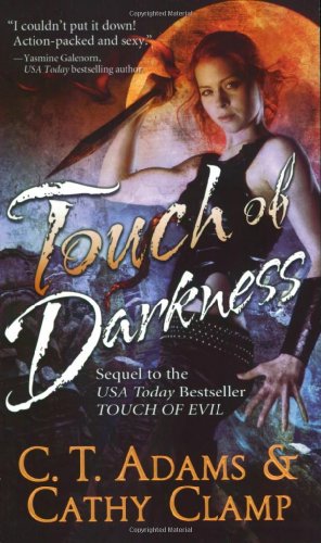 Touch of Darkness book cover