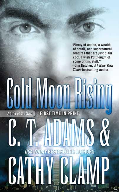 Cold Moon Rising book cover