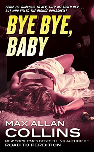 Bye Bye, Baby book cover