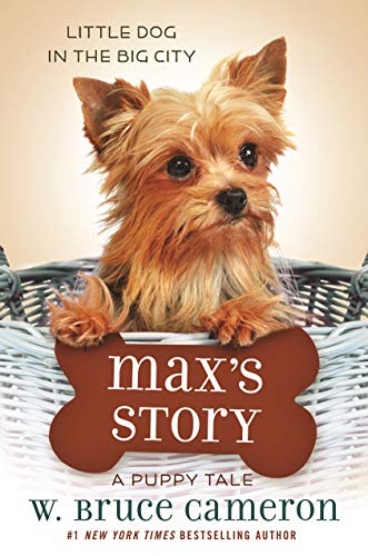 Max's Story book cover
