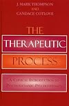 The Therapeutic Process: A Clinical Introduction to Psychodynamic Psychotherapy