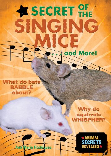 Cover of Secret of the singing mice-- and more!