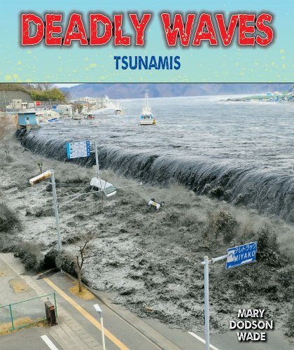 Cover of Deadly waves