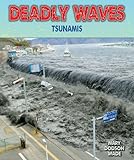 Deadly Waves Tsunamis Disasters People In Peril