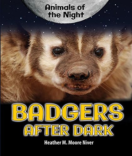 Cover of Badgers after dark