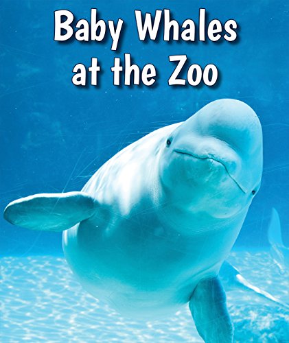 Cover of Baby whales at the zoo