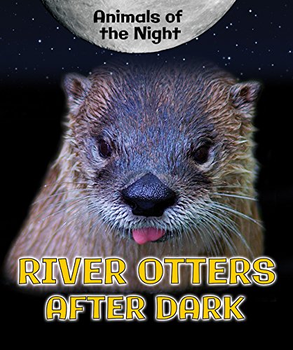 Cover of River Otters after Dark