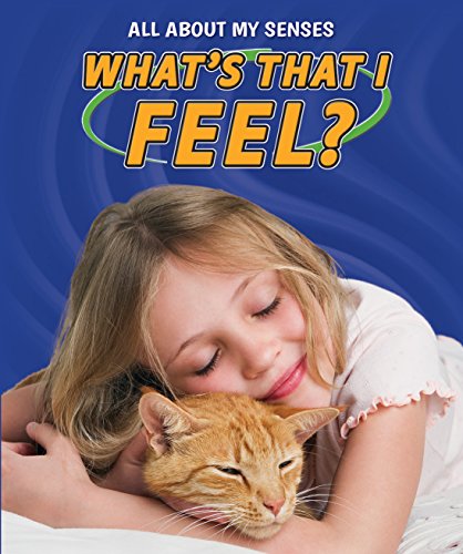 Cover of What's That I Feel?