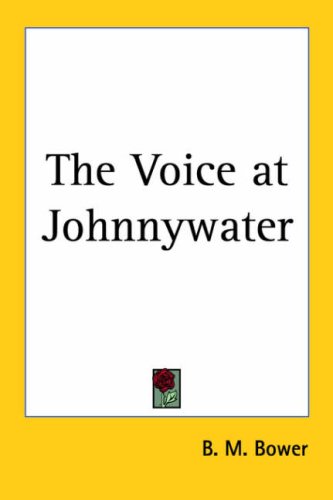 The Voice at Johnnywater book cover