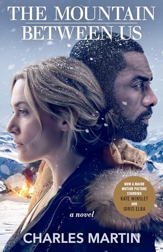 The Mountain Between Us book cover