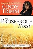 The Prosperous Soul Your Journey To A Richer Life