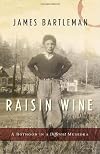 Raisin Wine: A Boyhood in a Different Muskoka