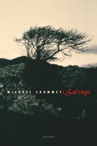 Salvage book cover