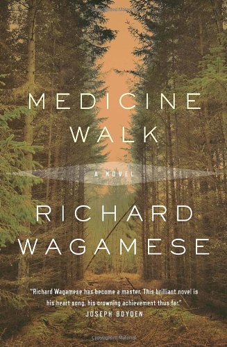 Medicine Walk book cover
