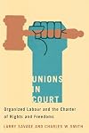 Unions in Court: Organized Labour and the Charter of Rights and Freedoms (Law and Society)