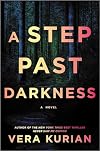 A Step Past Darkness: A Novel