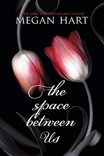 The Space Between Us book cover