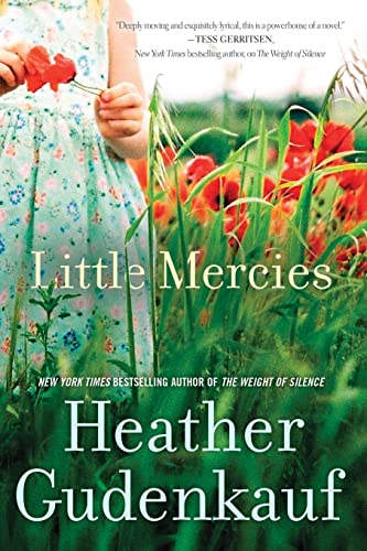Little Mercies book cover