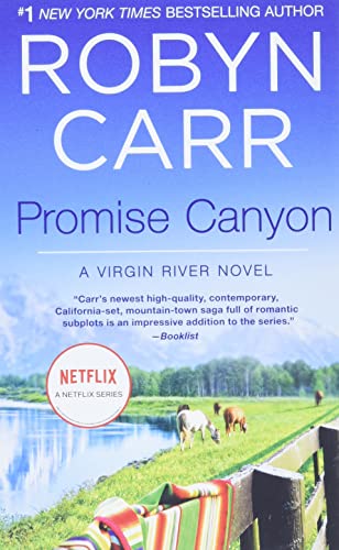 The Promise book cover