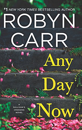 Any Day Now book cover