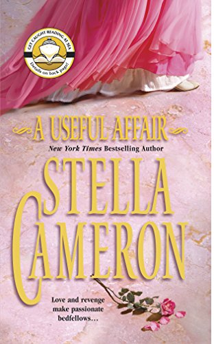 A Useful Affair book cover