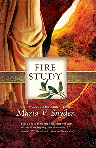 Fire Study book cover