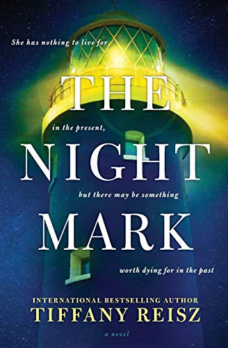 The Night Mark book cover