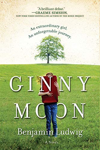 Ginny Moon / The Truth According To GInny Moon book cover