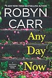Any Day Now book cover