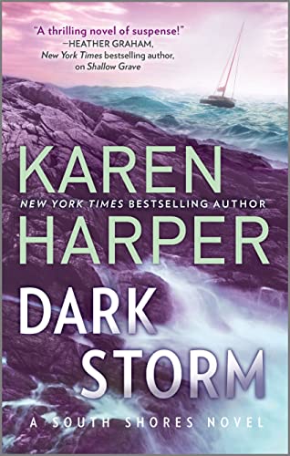 Dark Storm book cover