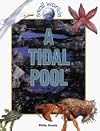 A Tidal Pool (Small Worlds)