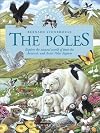 Nature Unfolds The Poles
