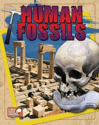 Cover of Human Fossils