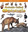 Animals Called Mammals (What Kind of Animal Is It?)