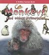 Monkeys and Other Primates (What Kind of Animal Is It?)