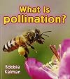 What Is Pollination? (Big Science Ideas (Paperback))
