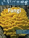 Fungi: Mushrooms, Toadstools, Molds, Yeasts, and Other Fungi