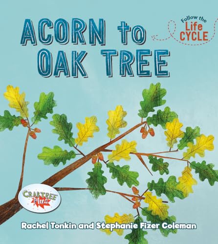 Cover of Acorn to Oak Tree