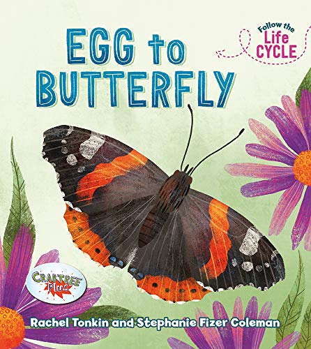Cover of Egg to Butterfly