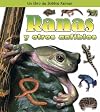 Frogs and Other Amphibians (What Kind of Animal Is It?)
