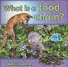 What Is a Food Chain? (Bobbie Kalman's Leveled Readers: My World)