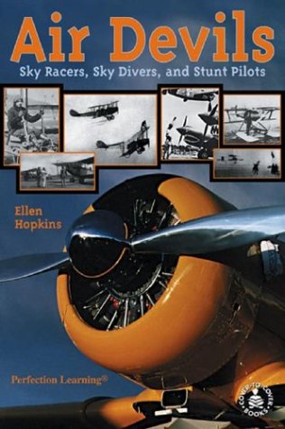 Air Devils book cover