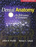 Dental Anatomy Its Relevance To Dentistry