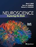Neuroscience Exploring The Brain
