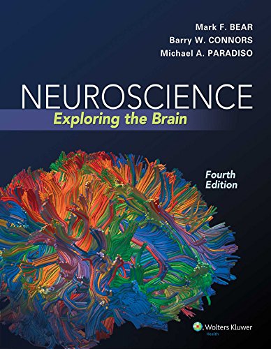 Neuroscience: Exploring the Brain by Bear, Connors, Paradiso