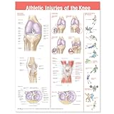 Athletic Injuries Of The Knee Anatomical Chart