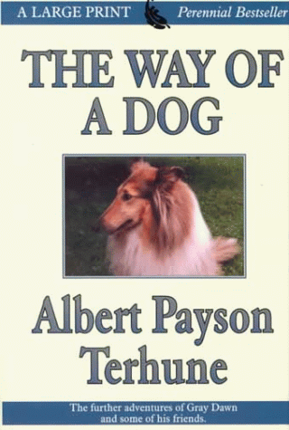 The Way Of A Dog book cover