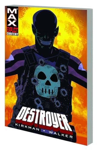 Destroyer book cover